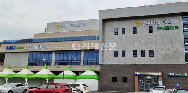 거제해금강농협 A조합장 1심서 당선무효형 선고