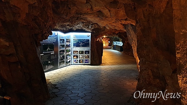 밤 되니 더 멋진 풍경이... 울산에 가면 꼭 보세요