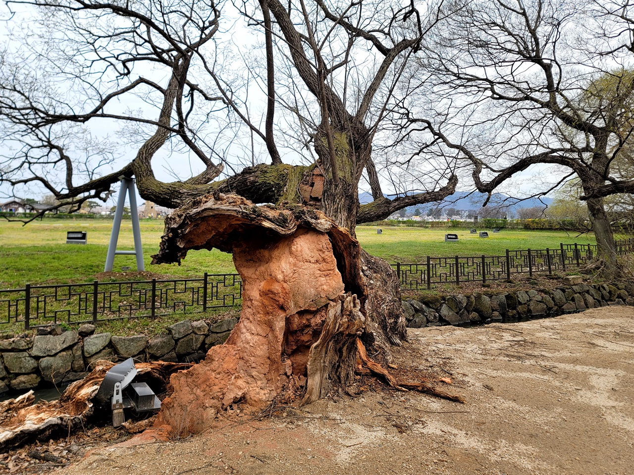 천년 왕국 신라의 신비를 가득 품고 있는 곳