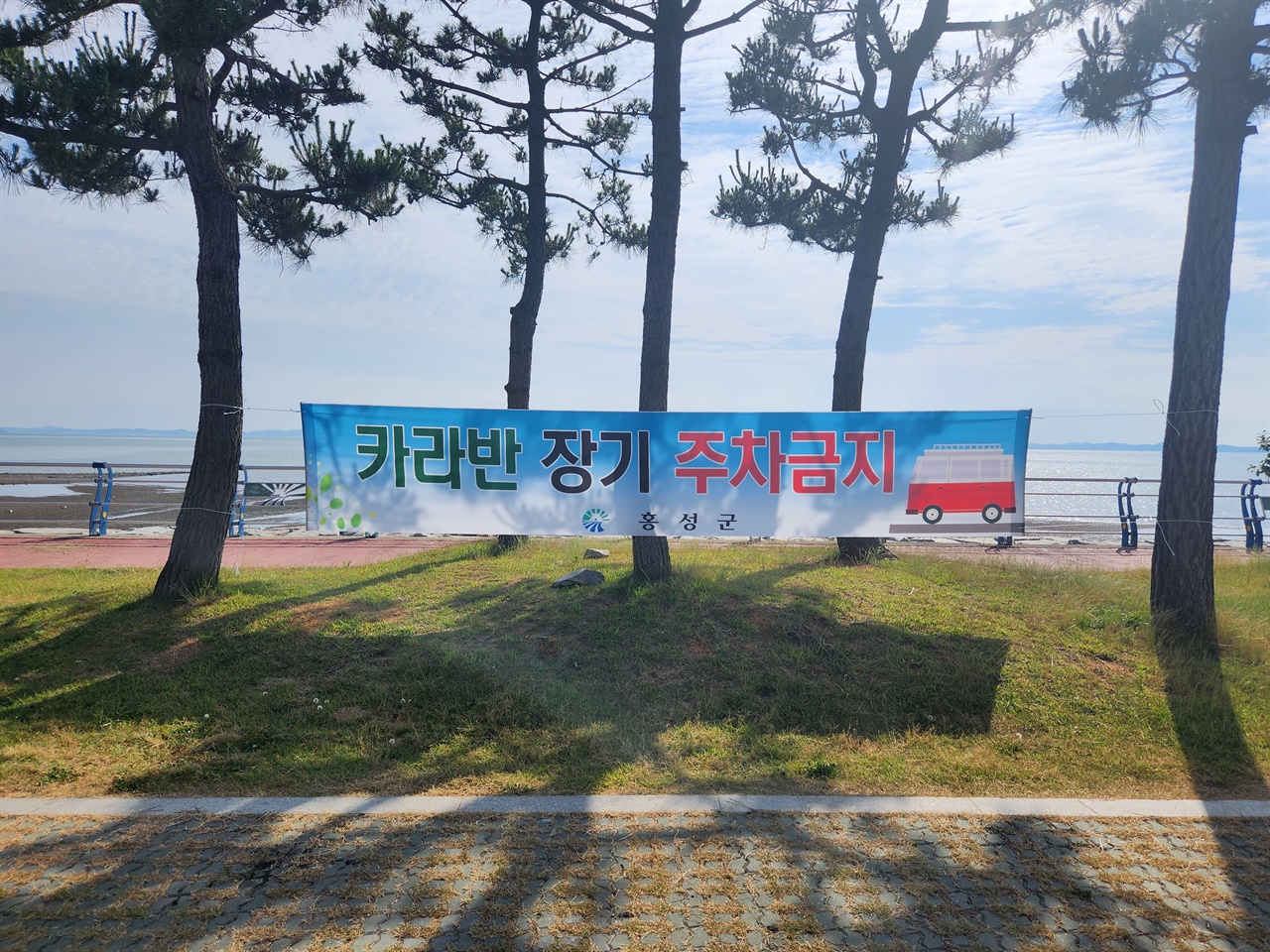 공영주차장 캠핑 금지... 캠핑족, 단순 차박금지는 지나쳐 반발