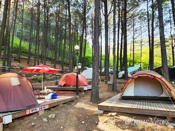 전남 보성 제암산자연휴양림 물놀이장 20일 개장