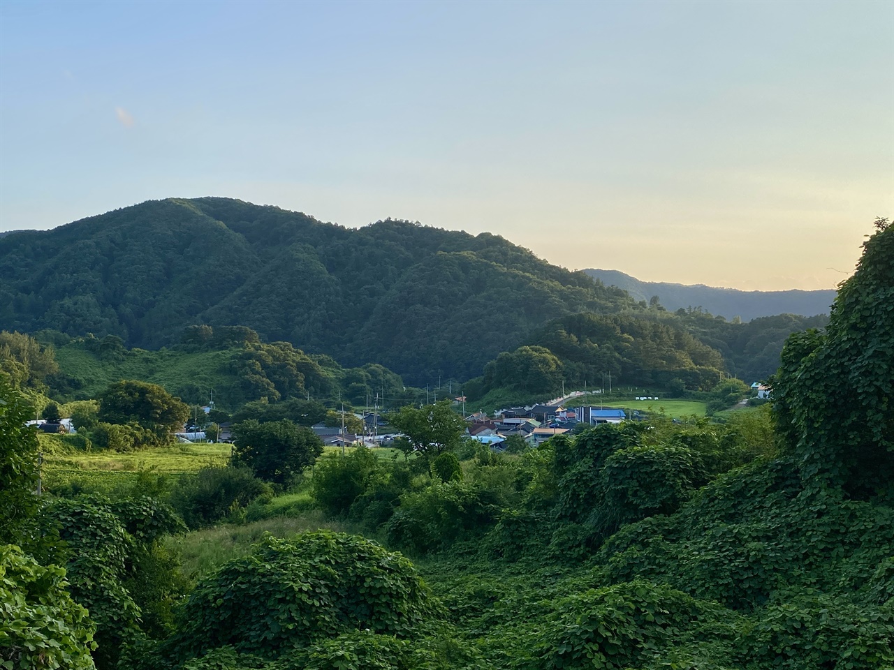 소 키우던 우사가 상영관으로… 산골마을 촌캉스 영화제의 매력