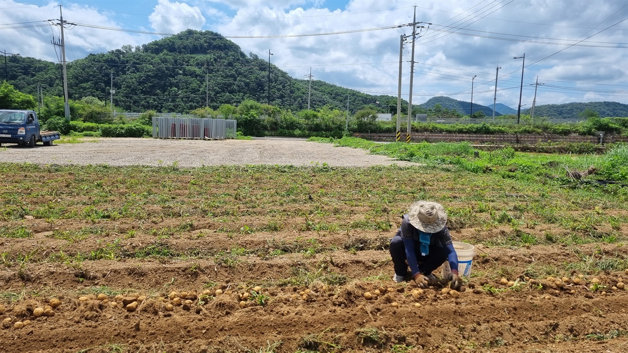 헉, 숨막히는 사진... 비건 쌀 빵의 사연