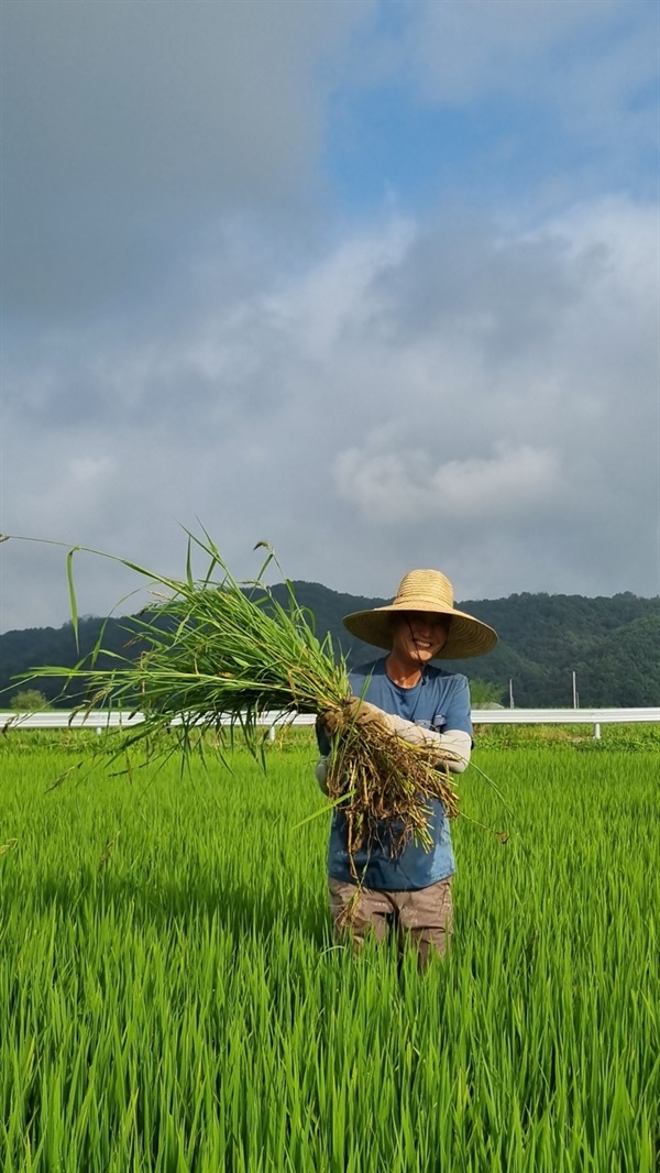 헉, 숨막히는 사진... 비건 쌀 빵의 사연