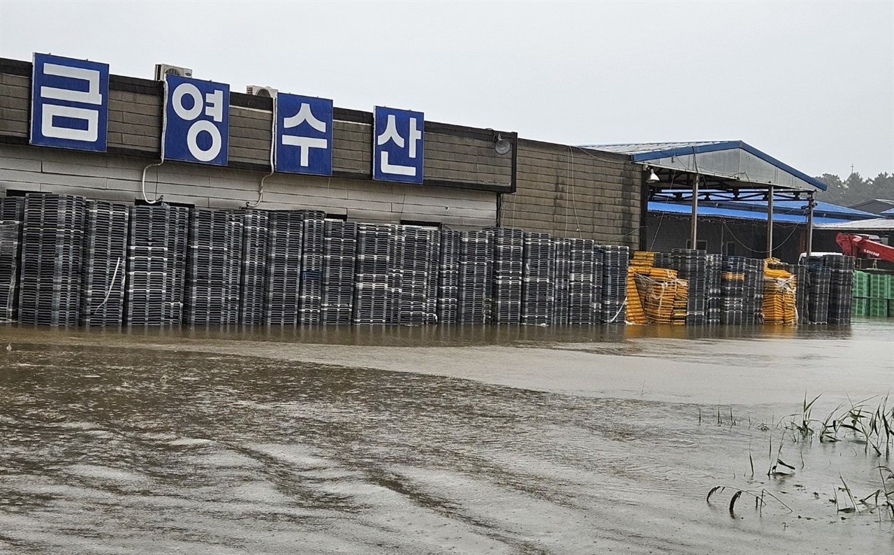 폭우에 수산물 가공단지 침수... 멸치공장 망연자실
