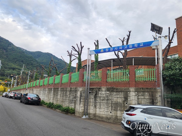 학교 교정 수십 그루, 잎 있는 가을에 닭발나무 만들어 논란