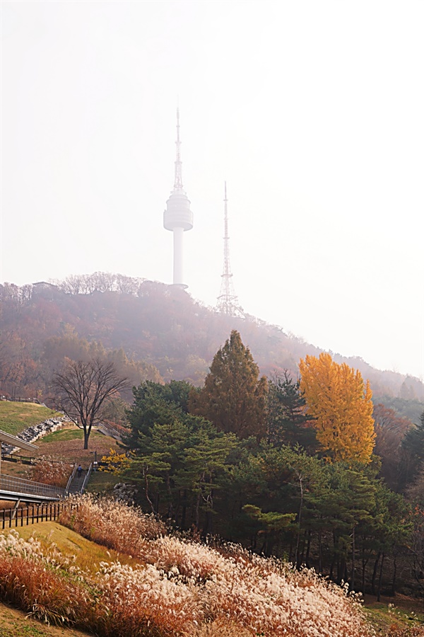 [사진] 형형색색, 짧은 가을 즐기기 딱인 남산