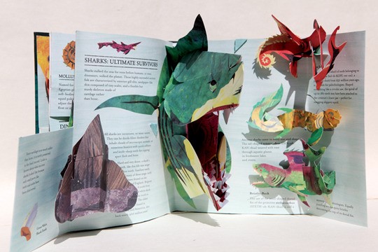 [Pop-up book] 평면에서 입체로 봄꽃처럼 피어나다