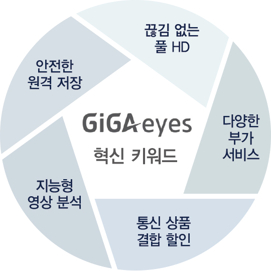 고성 산불 원인 KT ‘기가아이즈’는 알고 있다…진화하는 지능형 CCTV