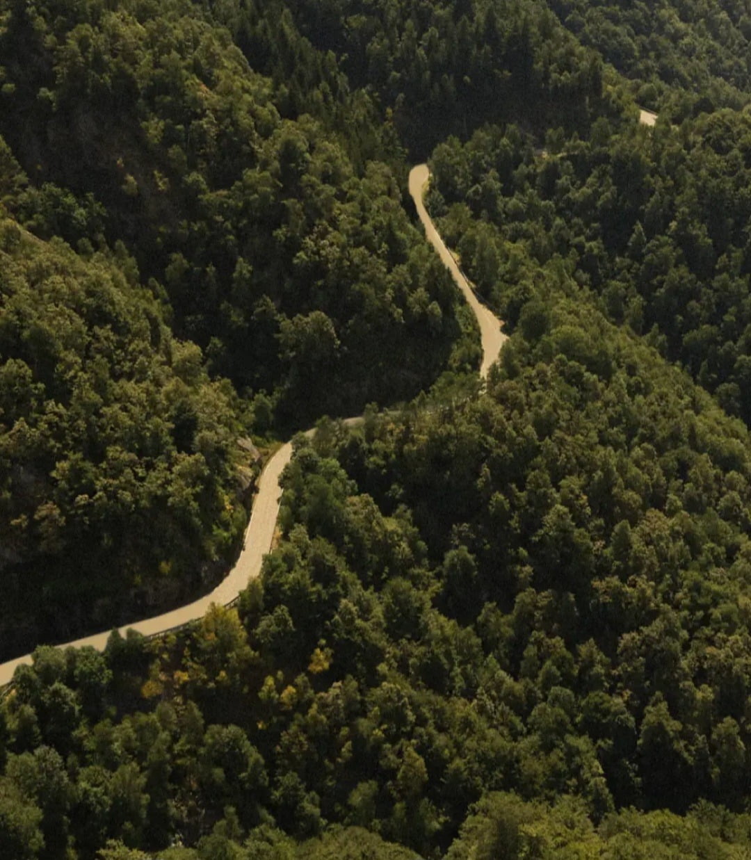오아시 제냐 프로젝트, 인간·환경 조화 도모[류서영의 명품이야기]