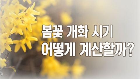 [뉴스통] 봄꽃 개화 시기는 어떻게 알 수 있나요?