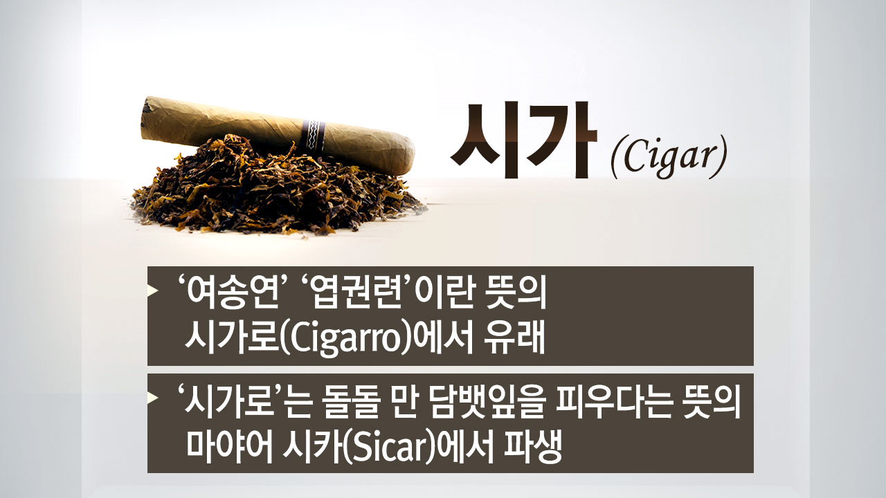 쿠바하면 떠오르는 시가...어떻게 유럽에 전파됐나?