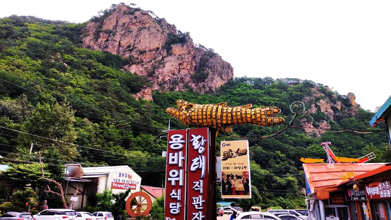 [힘이 되는 한끼] 싱싱한 황태구이 맛을 느낄 수 있는 곳
