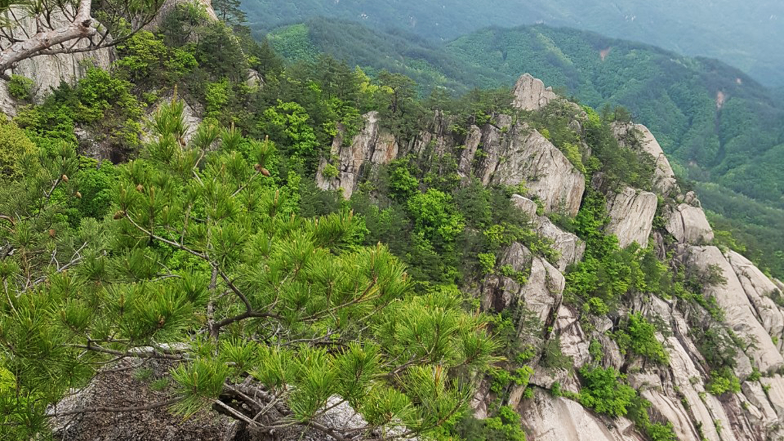 [산행 포인트] 나, 나름대로의 길(道)로 산행을 즐(樂)기다 도락산(道樂山)