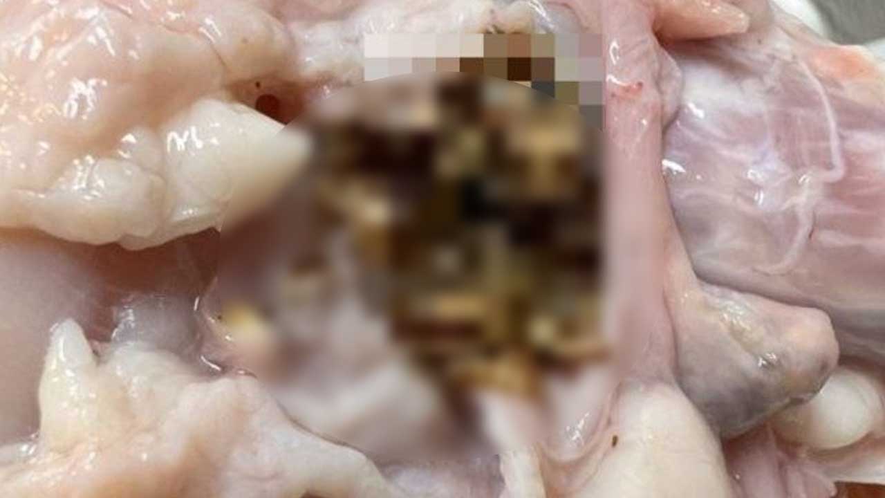 생닭 벌레, 인체에 무해 하림 회장 발언에 식약처 반박