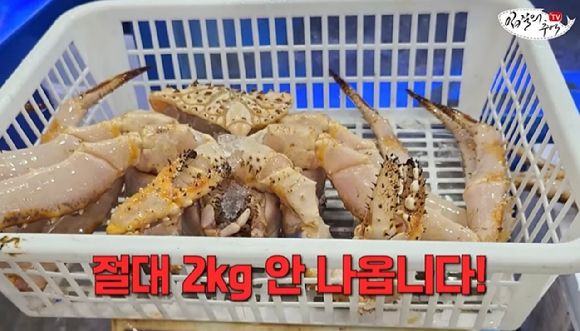 유명 유튜버, 수산시장 저울치기 의혹 제기