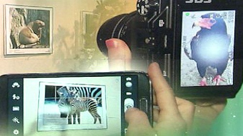 200641842.jpg