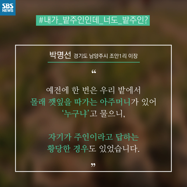 [카드뉴스] 시골인심 왜 이래?…서리하다 들킨 등산객 적반하장