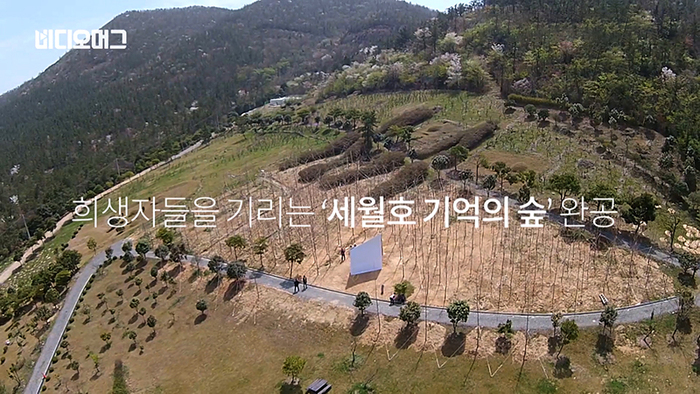 잊지 않겠습니다…세월호 기억의 숲 완공 현장