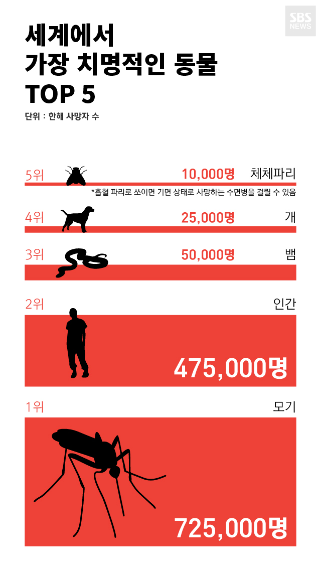 [카드뉴스] 세계에서 가장 치명적인 동물 TOP 5