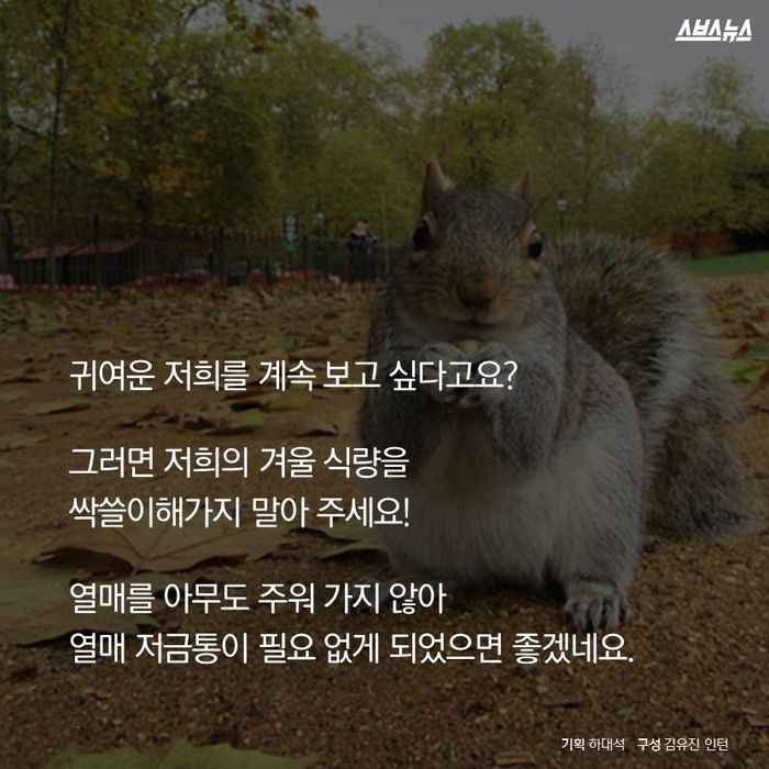도토리기획 이미지