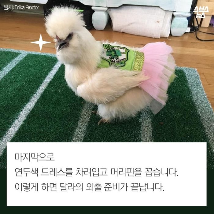[스브스뉴스] 성격 있는 우리집 치킨