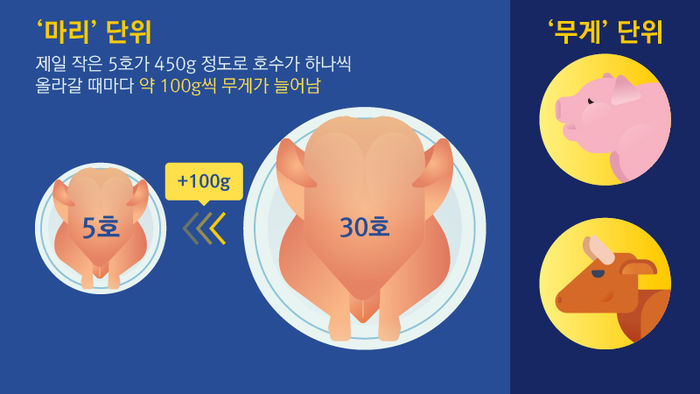 [리포트+] 닭, 튀기면 중량이 줄어든다(?)