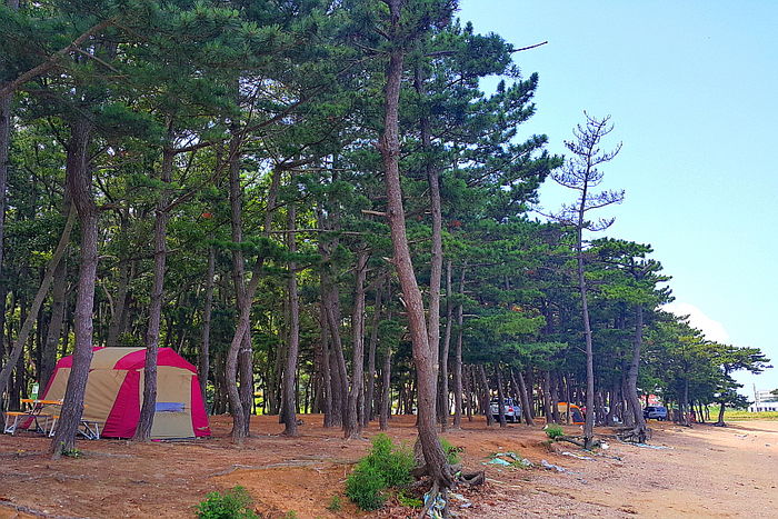 [라이프] 드론이 길을 만나다 - 대부도 해솔길 1코스 ①