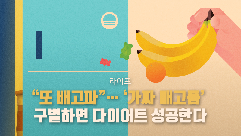 [라이프] 또 배고파…가짜 배고픔 구별하면 다이어트 성공한다