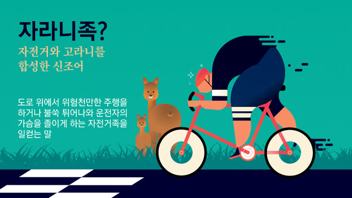 [리포트+] 신호위반부터 역주행까지…도로 위의 무법자 자라니족