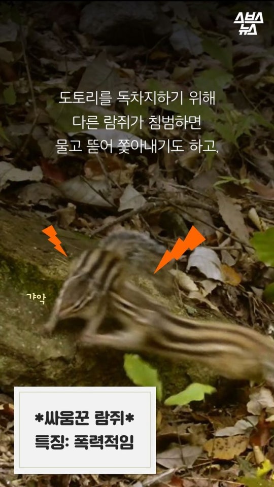 다람쥐와 도토리에 대한 몇가지 사실.jpg | 인스티즈