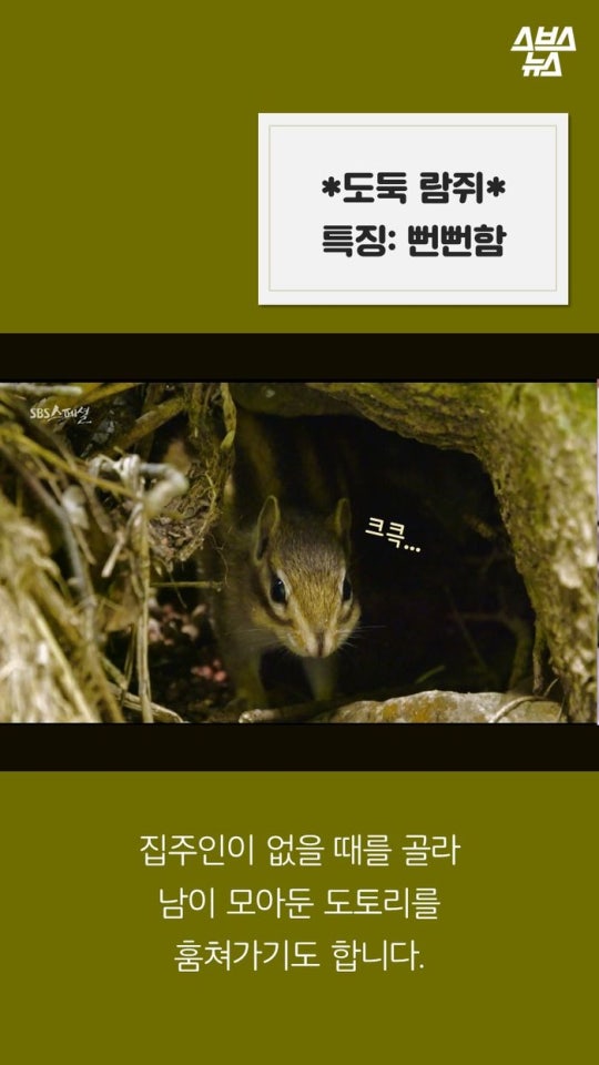 다람쥐와 도토리에 대한 몇가지 사실.jpg | 인스티즈