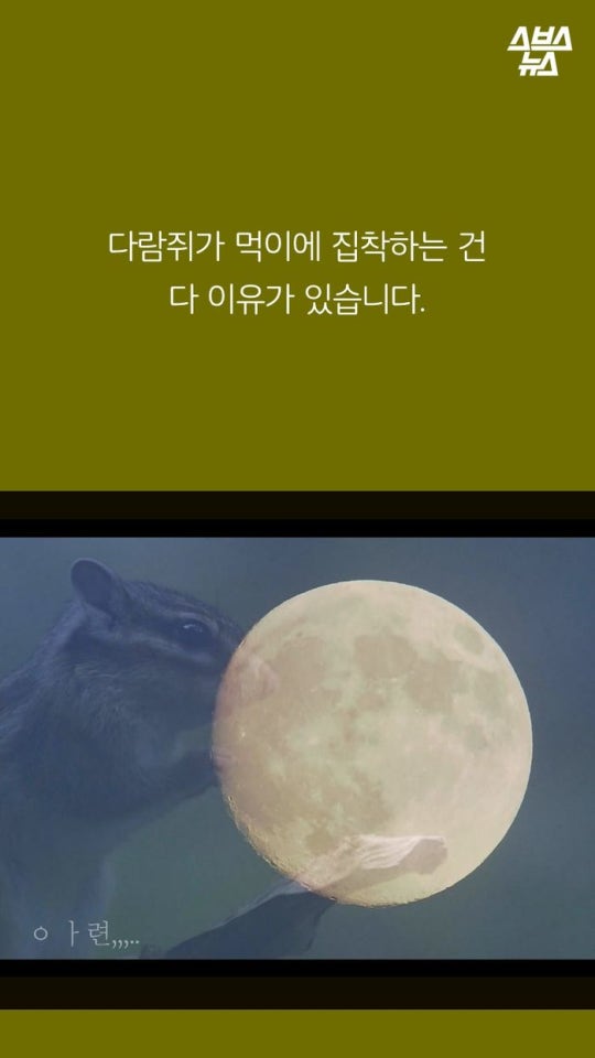 다람쥐와 도토리에 대한 몇가지 사실.jpg | 인스티즈