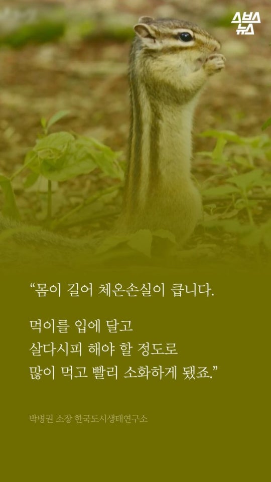 다람쥐와 도토리에 대한 몇가지 사실.jpg | 인스티즈