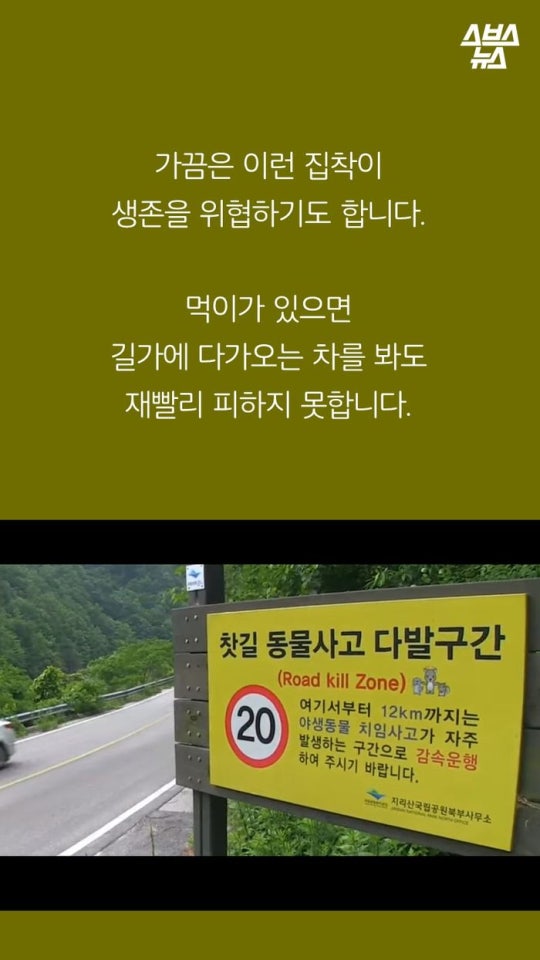 다람쥐와 도토리에 대한 몇가지 사실.jpg | 인스티즈