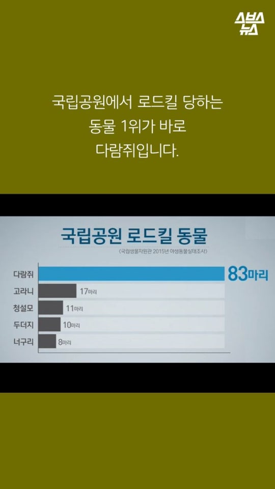 다람쥐와 도토리에 대한 몇가지 사실.jpg | 인스티즈