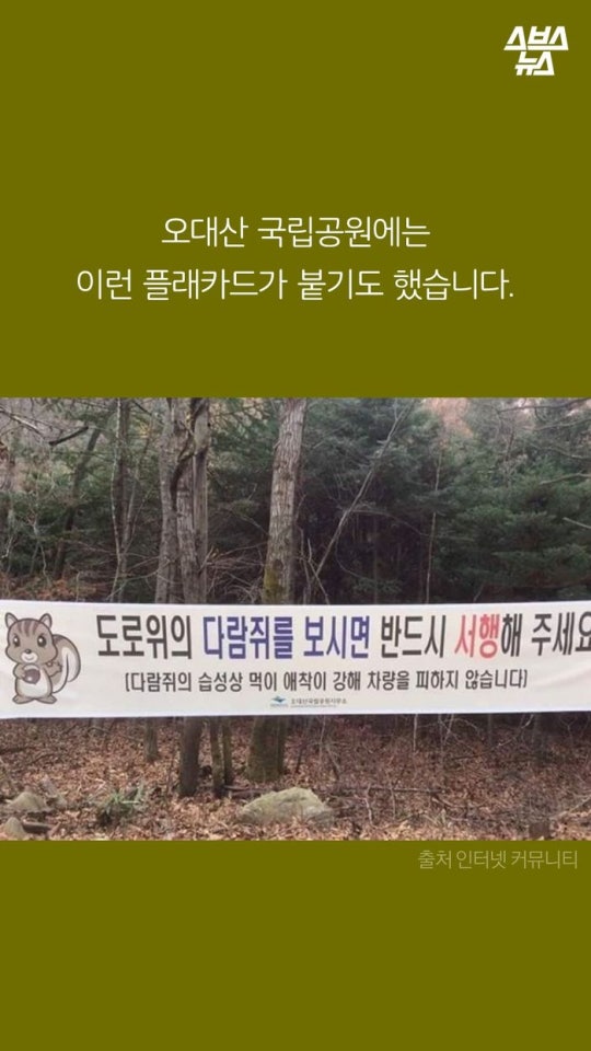 다람쥐와 도토리에 대한 몇가지 사실.jpg | 인스티즈