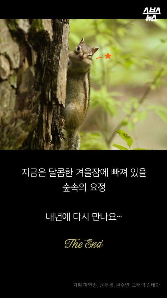 다람쥐와 도토리에 대한 몇가지 사실.jpg | 인스티즈