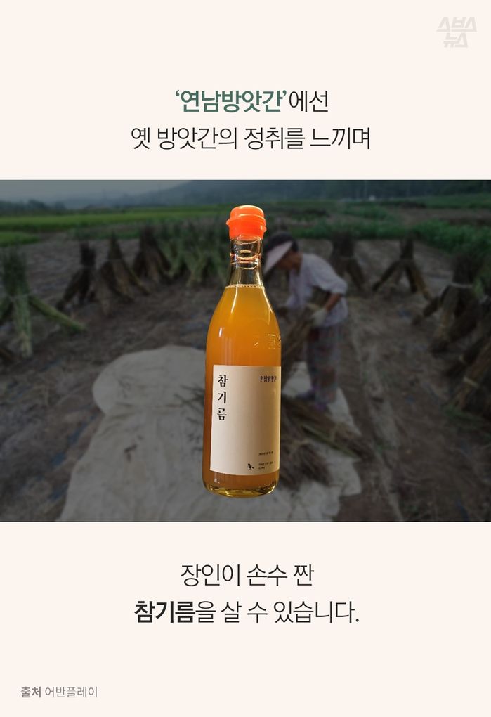 [스브스뉴스] 카이스트 나와서 방앗간 차린 남자, 무슨 사연?