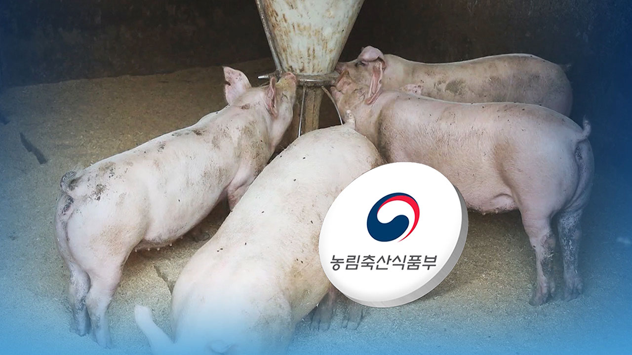 경기 연천서도 아프리카돼지열병 의심 신고