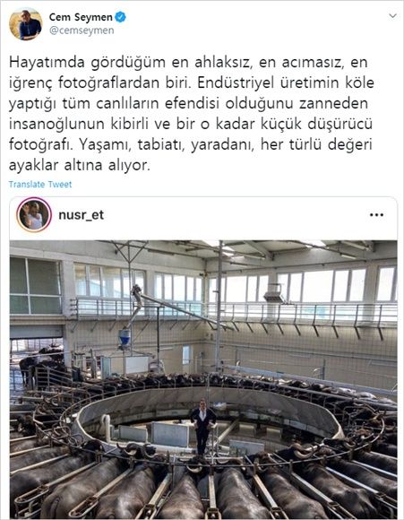 [Pick] 원형 소 도살장 한가운데서 기념사진…터키 요리사 뭇매