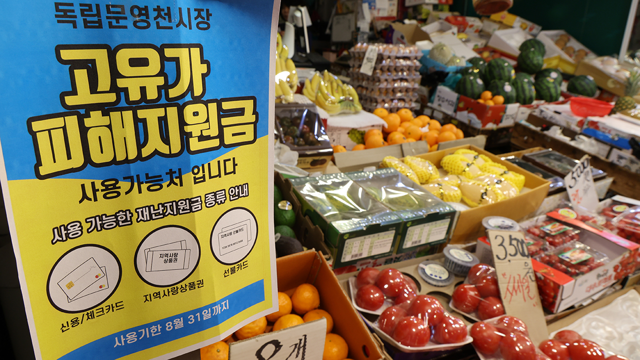 '怨좎쑀媛 吏썝湲' 궗쓽吏 떊泥瑜 50% 쑁諛뺚8,697뼲 吏湲
