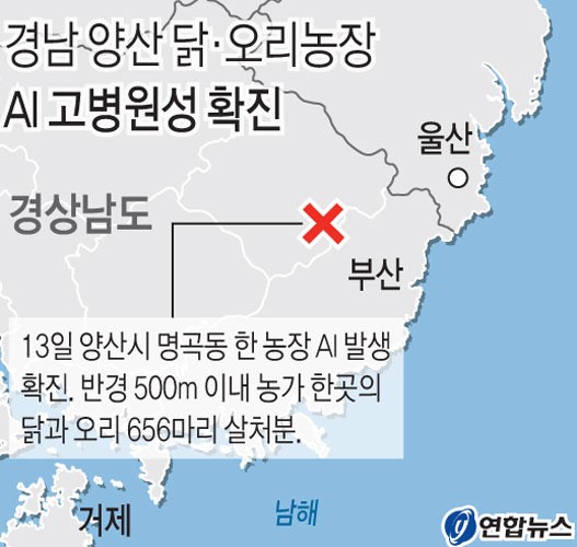 경남 양산 닭·오리농장 AI 고병원성 확진