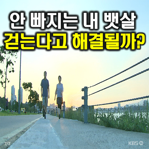 [도시락 뉴스] 중국산 ‘벤젠’ 맛기름 국내 1,200톤 유통