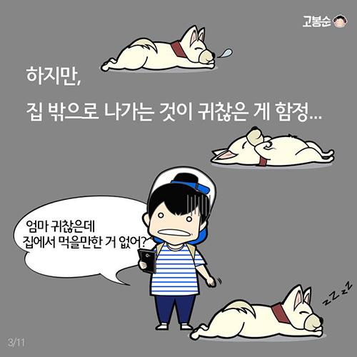 무더운 여름엔 국수가 진리! 간편 국수 레시피