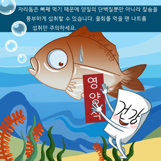 물회가 이미지