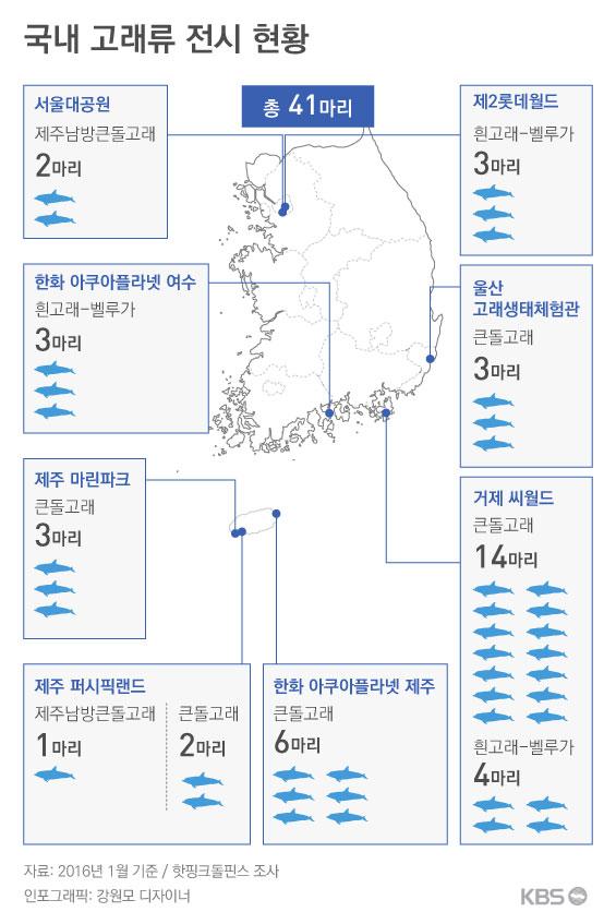 폐사율 63%, 고래 죽이는 고래생태체험관