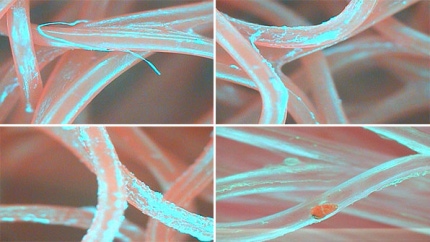 0010495785_003_20170819230201195.jpg?typ