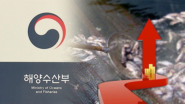 1분기 수산물 수출액 5억6천만 달러…역대 최고치