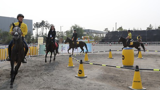 경기도 말산업 육성 추진…과천경마장 레저세로 기금조성